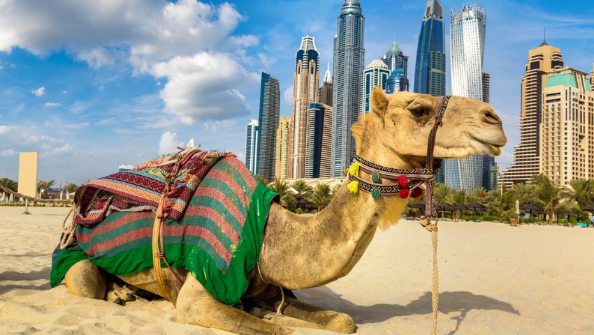 KONAKLAMALI 4 Gece 5 Gün AİLE/ ÇOCUK DUBAİ KAMPI